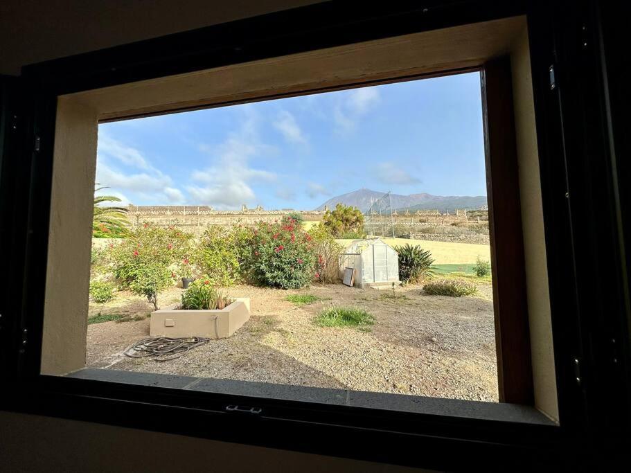 Peaceful Oasis With Magical Sea Views And A Pool Santa Cruz de Tenerife Exterior foto