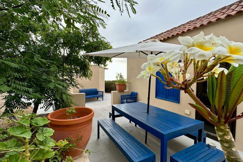 Peaceful Oasis With Magical Sea Views And A Pool Santa Cruz de Tenerife Exterior foto