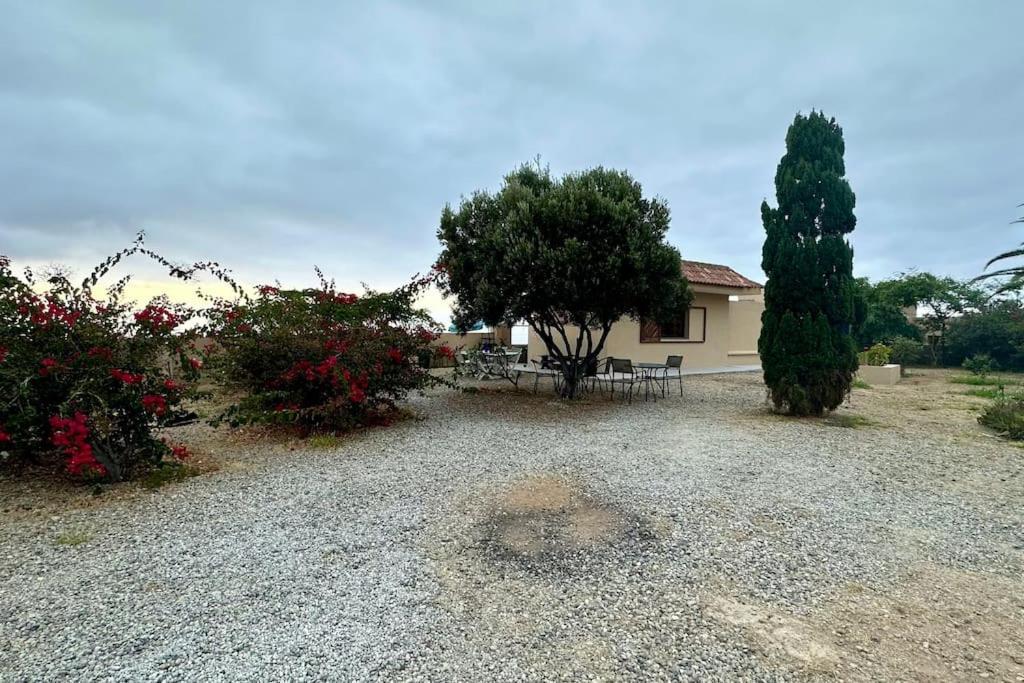 Peaceful Oasis With Magical Sea Views And A Pool Santa Cruz de Tenerife Exterior foto