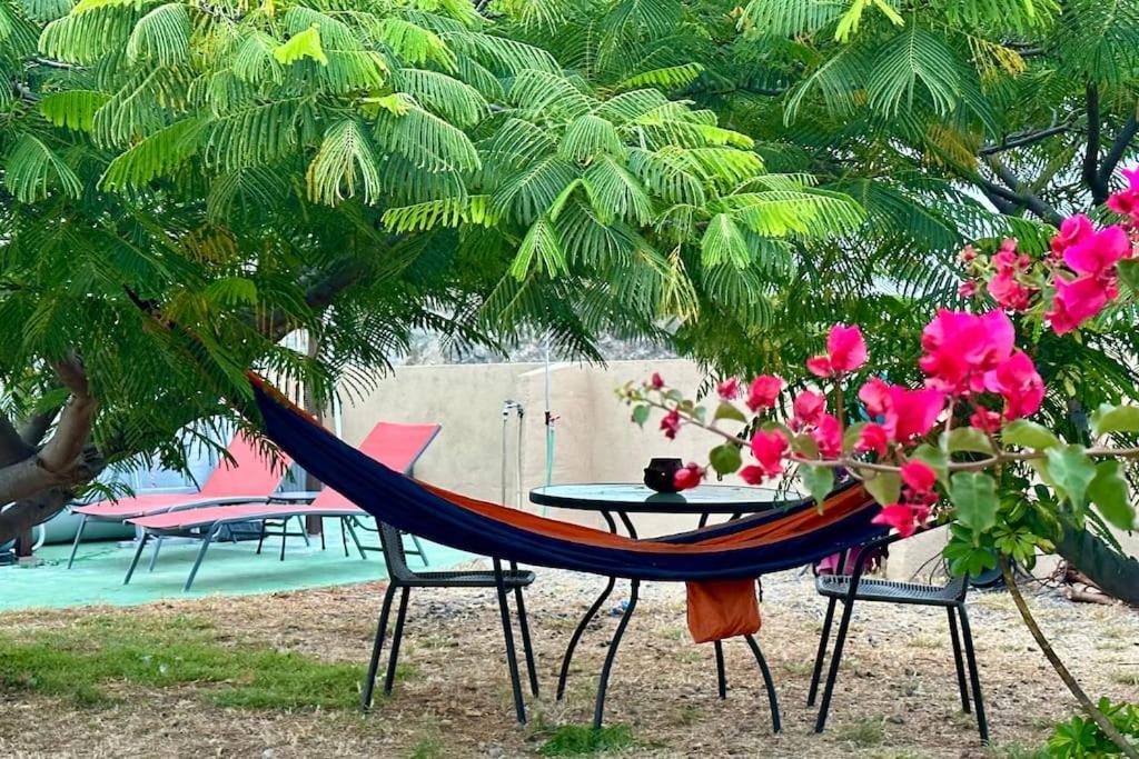 Peaceful Oasis With Magical Sea Views And A Pool Santa Cruz de Tenerife Exterior foto